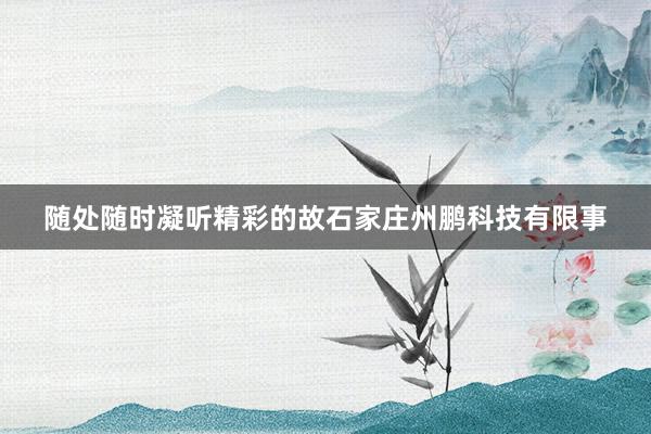 随处随时凝听精彩的故石家庄州鹏科技有限事