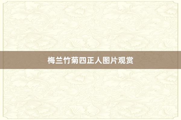 梅兰竹菊四正人图片观赏