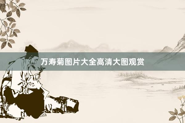 万寿菊图片大全高清大图观赏