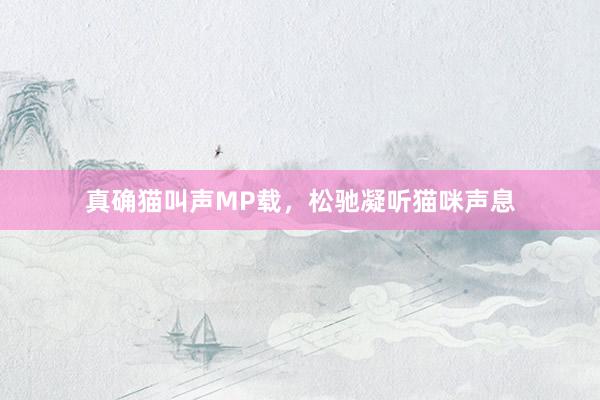 真确猫叫声MP载，松驰凝听猫咪声息