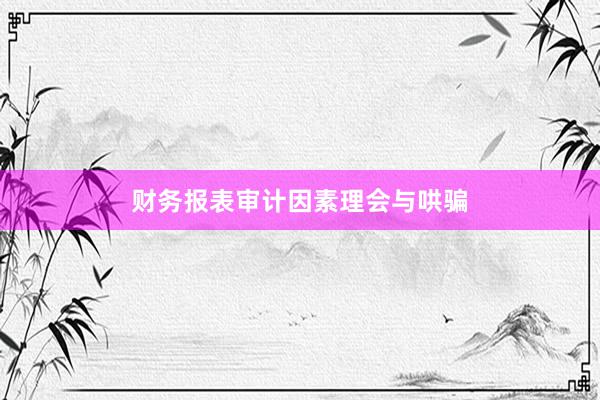 财务报表审计因素理会与哄骗